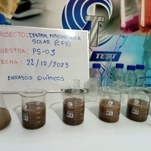 WhatsApp Image 2024-02-06 at 4.17.30 PM