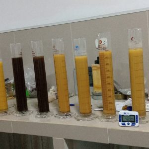 WhatsApp Image 2024-02-06 at 4.25.00 PM