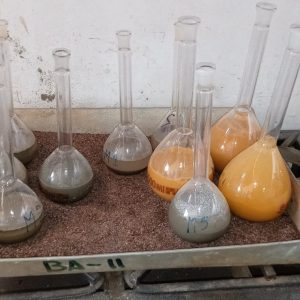 WhatsApp Image 2024-02-06 at 4.37.14 PM (5)