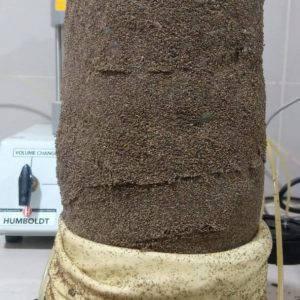 WhatsApp Image 2024-02-06 at 4.37.16 PM (8)